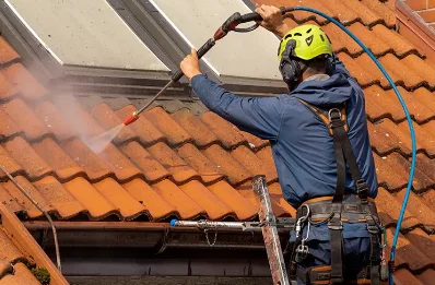 Démoussage et hydrofuge de toiture à Thérines